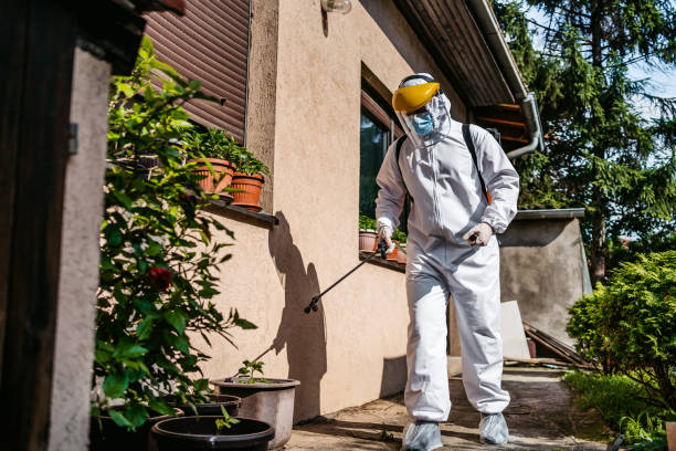 Best Spider Control Near Me  in Okanogan, WA