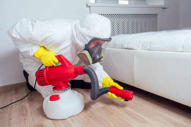 Best Flea Control Services  in Okanogan, WA