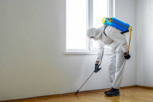 Best Wildlife Control Services  in Okanogan, WA