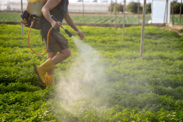 Best Commercial Pest Control Services  in Okanogan, WA