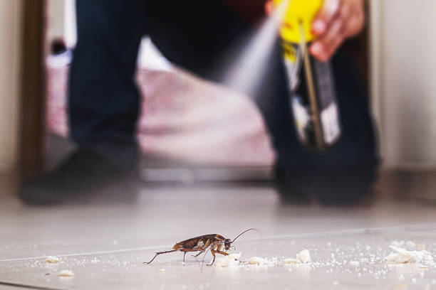 Best Pest Control Near Me in Okanogan, WA