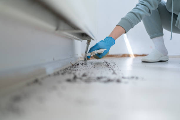  Okanogan, WA Pest Control Pros